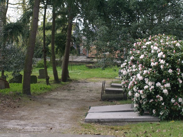 Vergevorderde plannen voor begraafplaats in Zetten