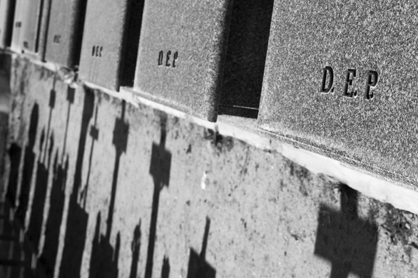 Succesvolle lancering nieuwe producten Funeral Products op TanExpo