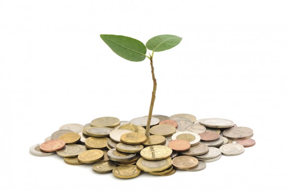 Nieuw: financieel advies speciaal voor uitvaartondernemers