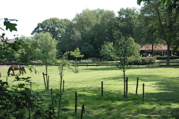 Natuurbegraafplaats op landgoed Slangenburg