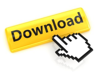 Traumaprotocol (download)