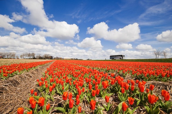 Amsterdam organiseert benefieten voor Carrémausoleum