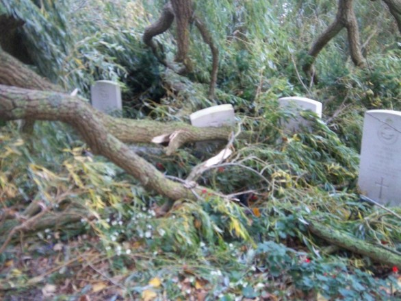 Natuurbegraafplaats Weverslo door de ogen van 53 fotografen
