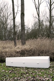 DELA wijzigt directie