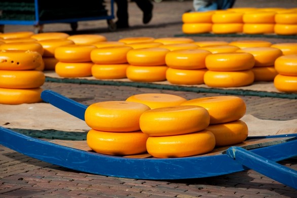Gemeenteraad voorstander van natuurbegraafplaats Alkmaar