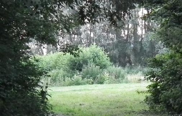 Wetswijziging moet erfgenamen beter beschermen