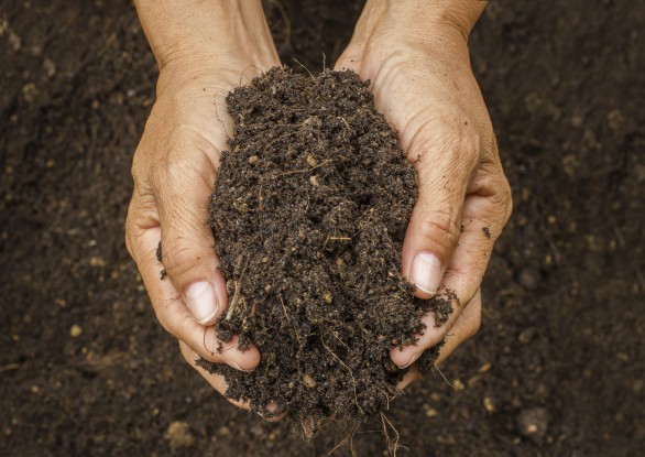 Bouw nieuwe crematoria Suriname van start
