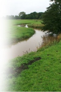 meander2