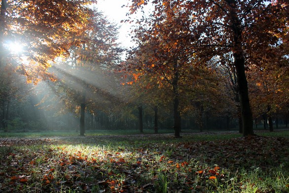 natuurbegraafplaats Hillig Meer mag uitbreiden met 1000 graven