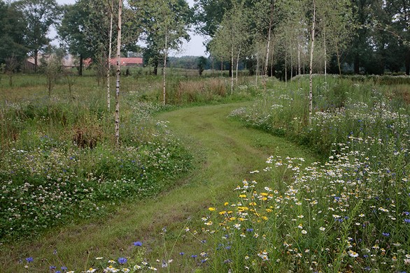 Randstedelingen graag begraven op Noord-Brabantse natuurbegraafplaatsen