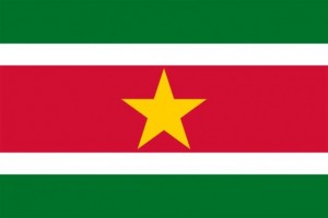 vlag-van-suriname-586x391