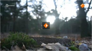 Eenvandaag over Natuurbegraven