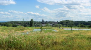 Eerste natuurbegraafplaats Zuid-Limburg opent volgende maand