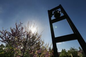 Nieuwe natuurbegraafplaatsen in Elspeet en Hoeksche Waard
