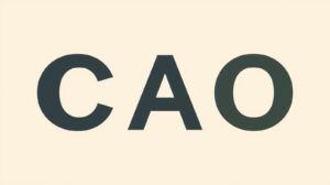 CAO-onderhandelingen van start