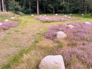 Notitie LOB over de groeiende vraag naar natuurlijk begraven